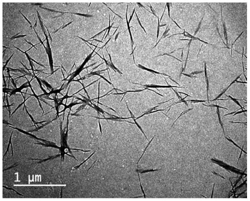 High-strength chitin composite hydrogel material as well as preparation method and application thereof