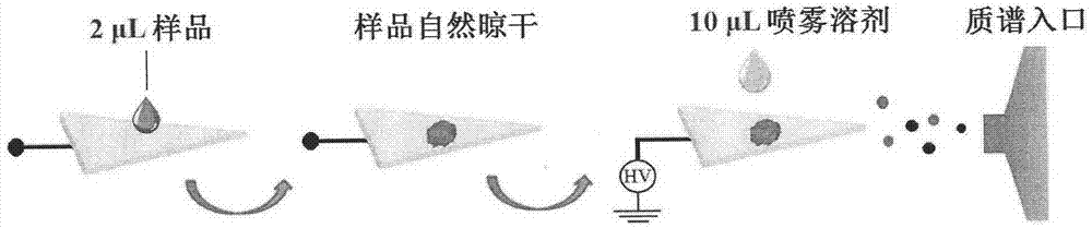 Paper-based electrospray ionization mass spectrometry fingerprint technology and construction method thereof