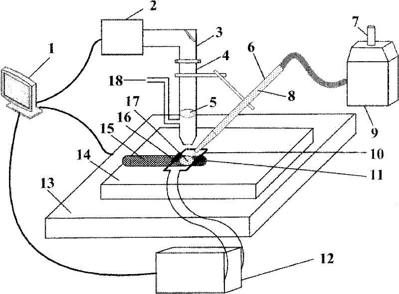 Method for quickly preparing metal ceramic coating through laser induced composite fusioncast