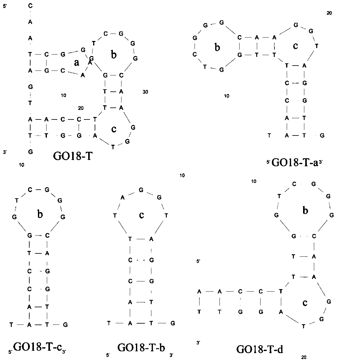 High-affinity aptamers specifically binding to lactoxins 1 and 4 and their applications