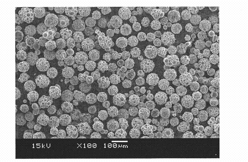 Insulating coating method and metal powder core prepared with same