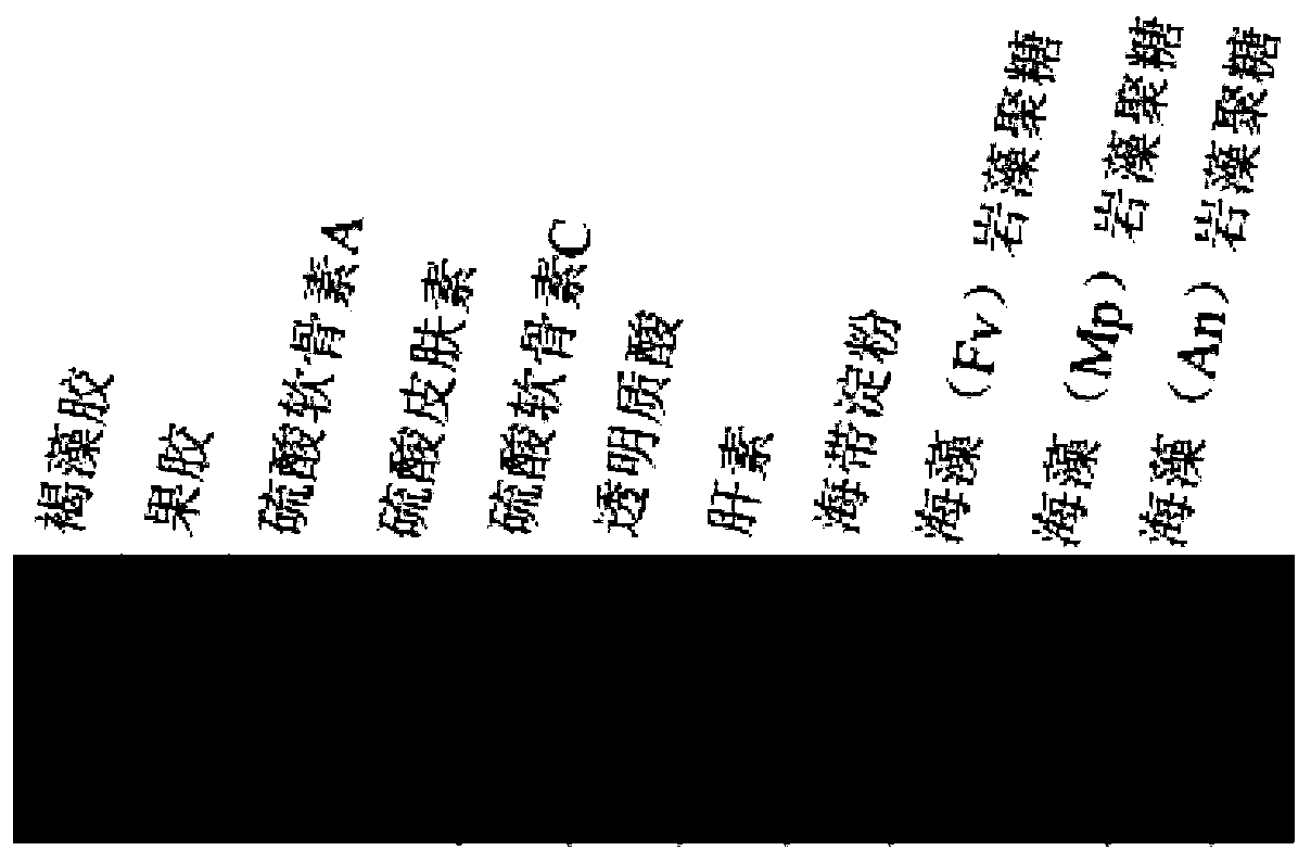 Novel algin specific binding protein and preparation method and application thereof