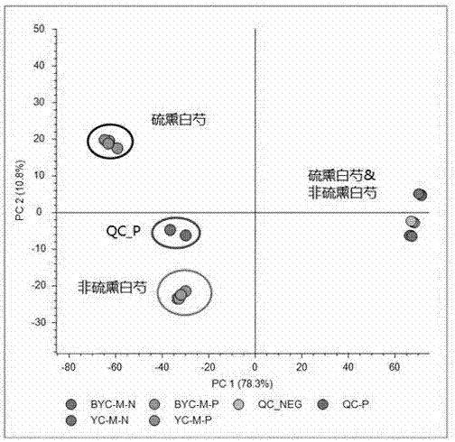 Method for rapidly screening difference of rhizoma corydalis and vinegar rhizoma corydalis through UPLC-MS-MS