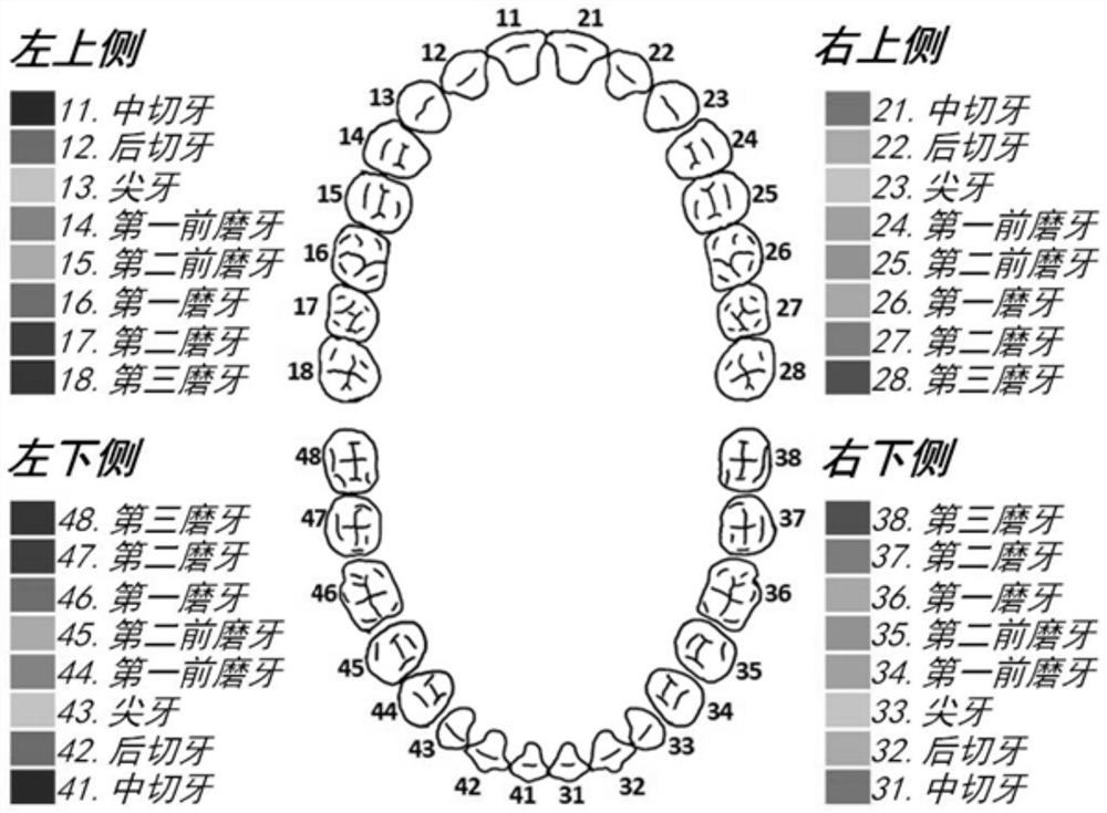 Tooth orthodontic result prediction method and system based on feature point recognition