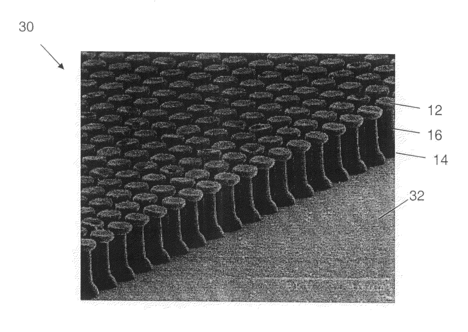 Dry adhesives and methods for making dry adhesives