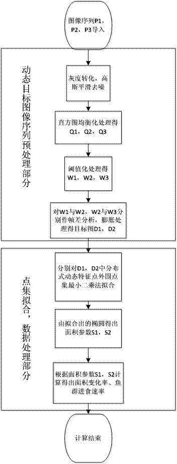 Automatic fish school feeding control method based on video streaming image distributed dynamic characteristic technology