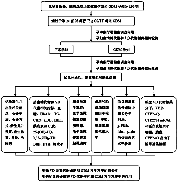 Method for detecting correlation between vitamin D metabolism and glycolmetabolism and placenta in diabetic pregnant women