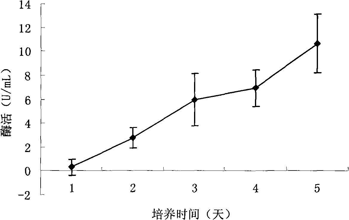 Method for constructing ester bond enzyme engineering bacteria for tendency hydrolysis of TAG sn-2 and corresponding recombinant lipase