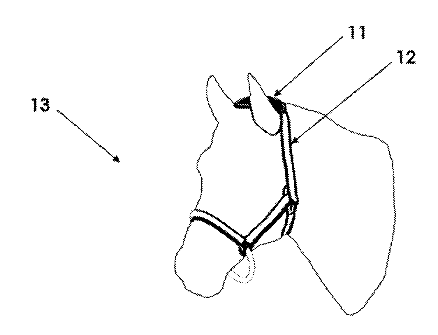 Device and Method for Remotely Monitoring Animal Behavior