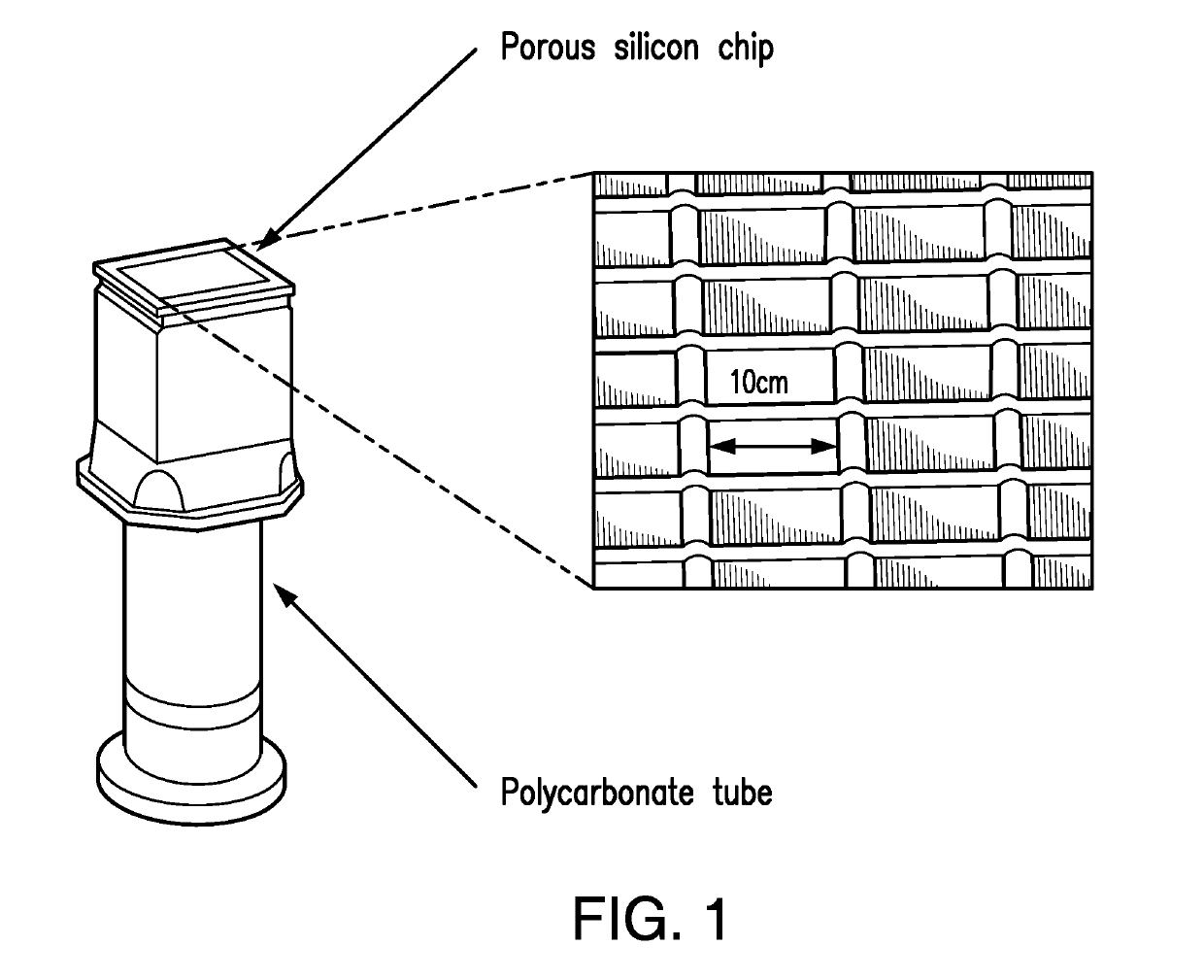 Compositions and methods for identifying subjects at risk for traumatic brain injury