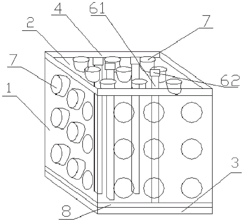 Insect rearing cage for large-scale rearing of predatory natural enemy arma chinensis fallou and rearing method for arma chinensis fallou