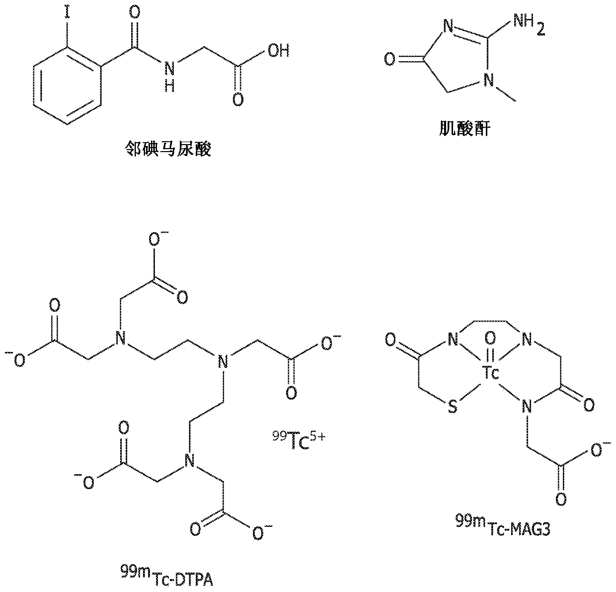 Compositions and systems for renal function determination