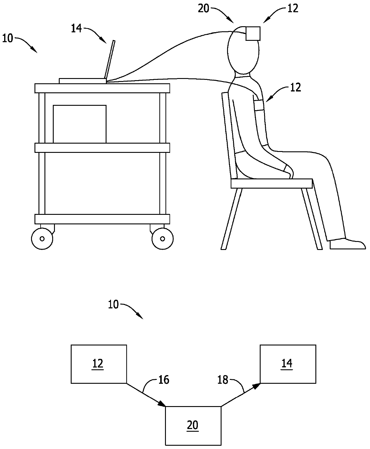 Compositions and systems for renal function determination