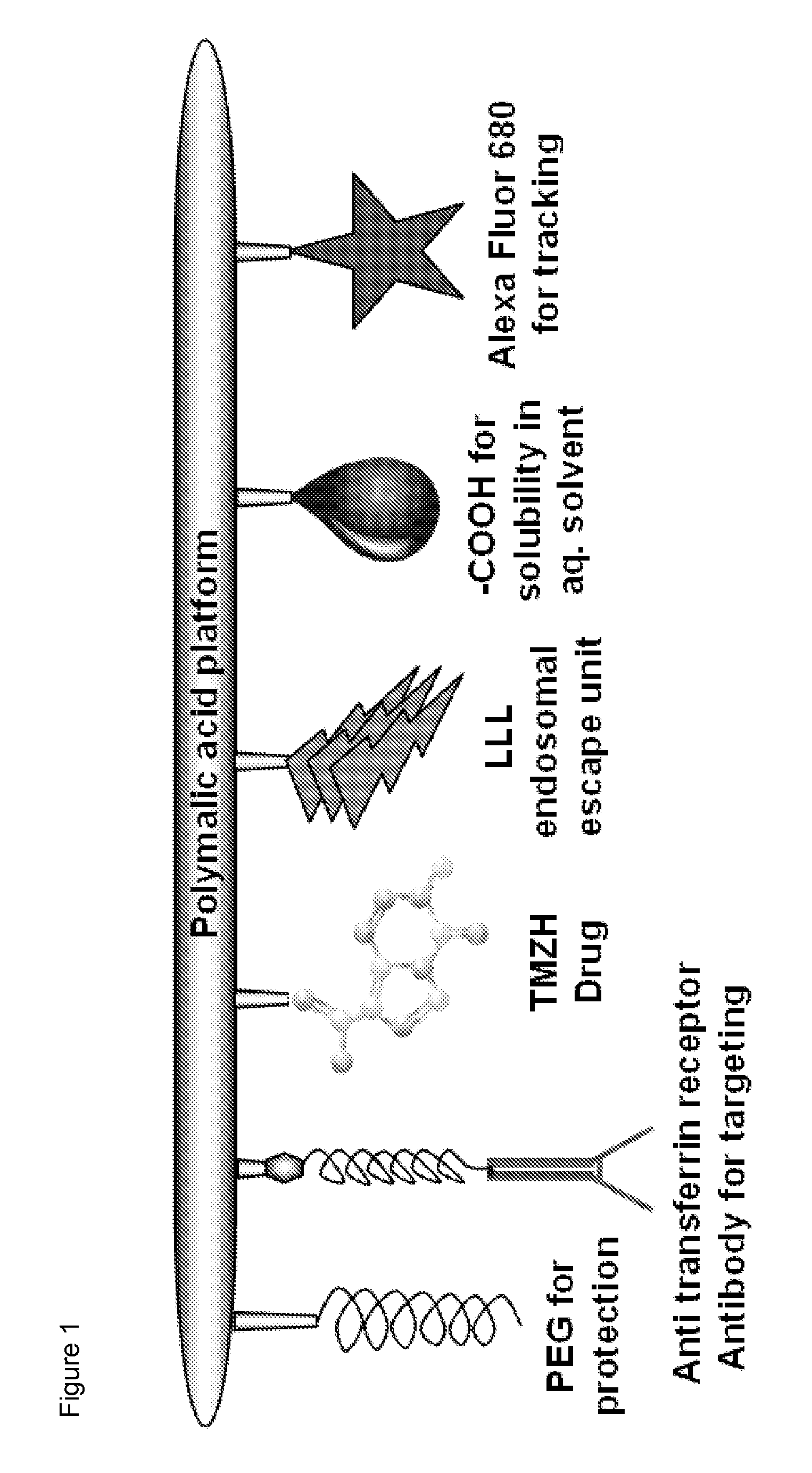 Drug delivery of temozolomide for systemic based treatment of cancer