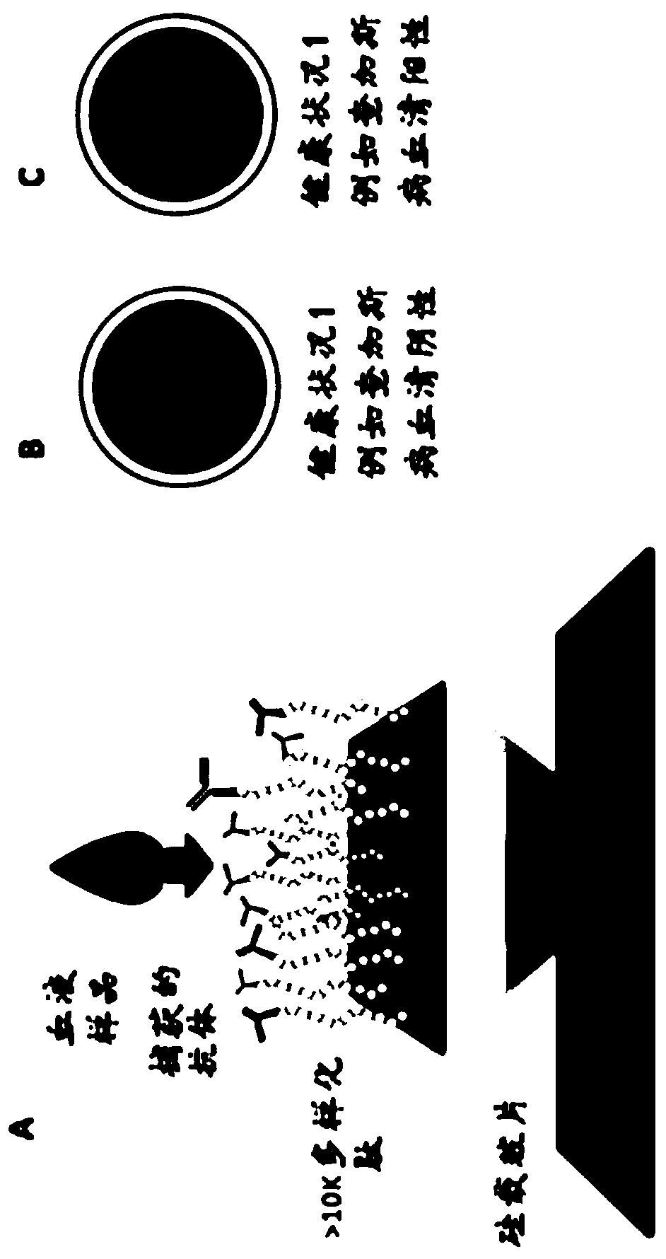 Methods for screening infections