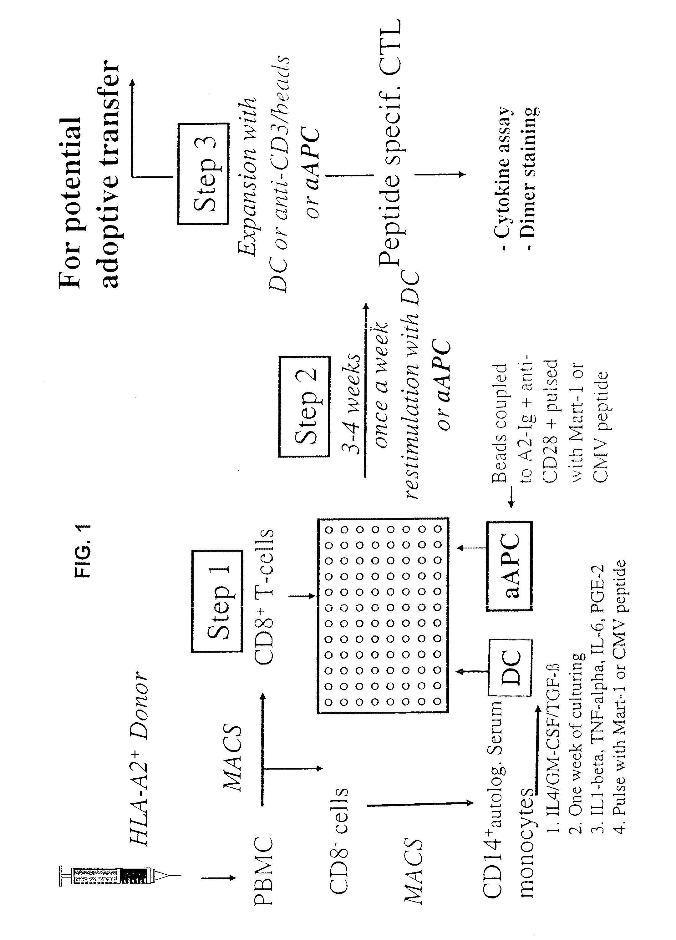 Reagents and Methods for Engaging Unique Clonotypic Lymphocyte Receptors