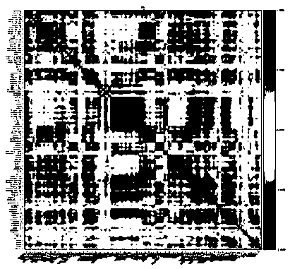 Automatic rapid visualization method for resting state brain function connection