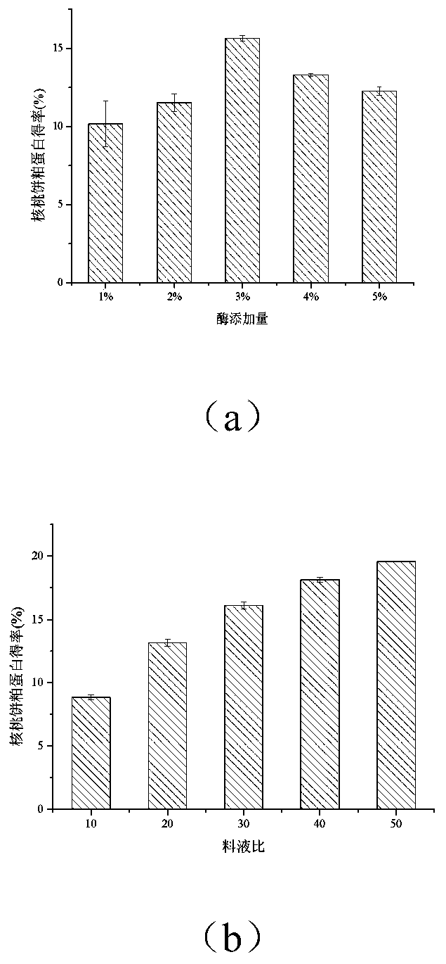 Method of improving antioxidant activity of walnut cake protein