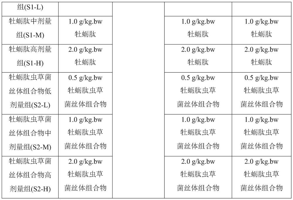 Oyster peptide and cordyceps mycelium composition with immunity enhancing function and application thereof