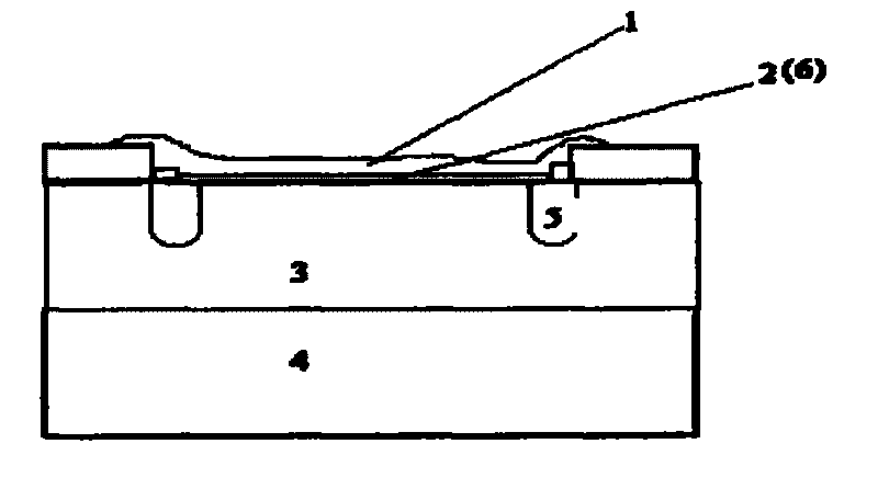 Schottky barrier diode and preparation method thereof