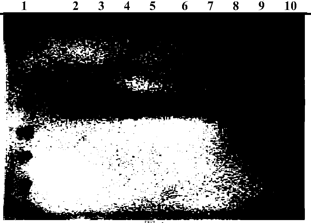 Recombinant human serum albumin-interferon alpha fusion protein water solution and preparation method thereof