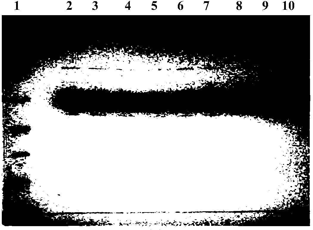 Recombinant human serum albumin-interferon alpha fusion protein water solution and preparation method thereof