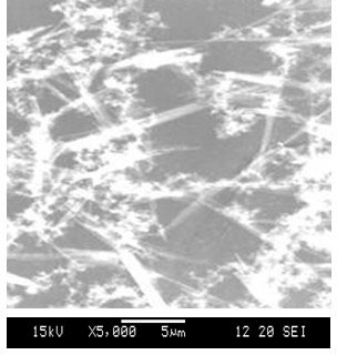 Method for modifying attapulgite clay