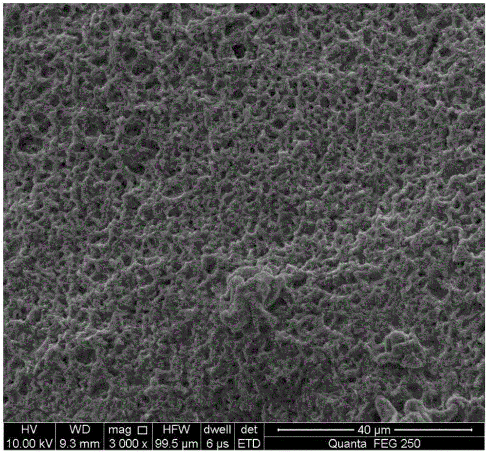 Application of copper alginate