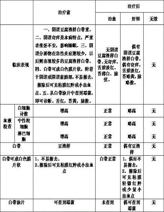 Preparation method of Chinese medicine irrigation solution for treating bean curd broken bits type mycotic vaginitis