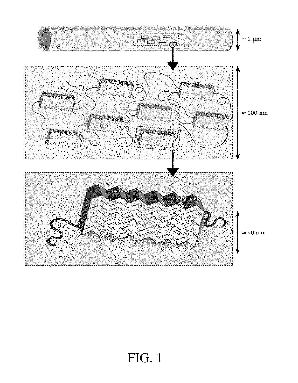 Methods of Generating Highly-Crystalline Recombinant Spider Silk Protein Fibers