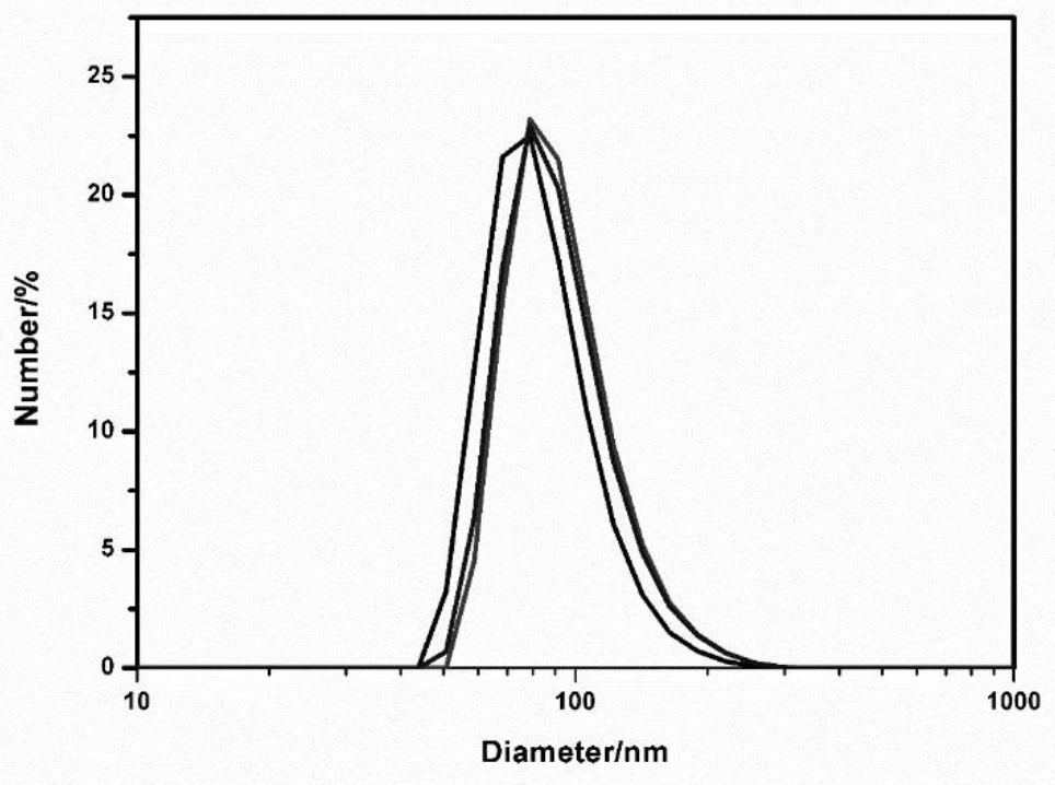 Amphiphilic conjugated oligomer, preparation thereof and drug-loaded nanoparticles prepared by self-assembly of amphiphilic conjugated oligomer