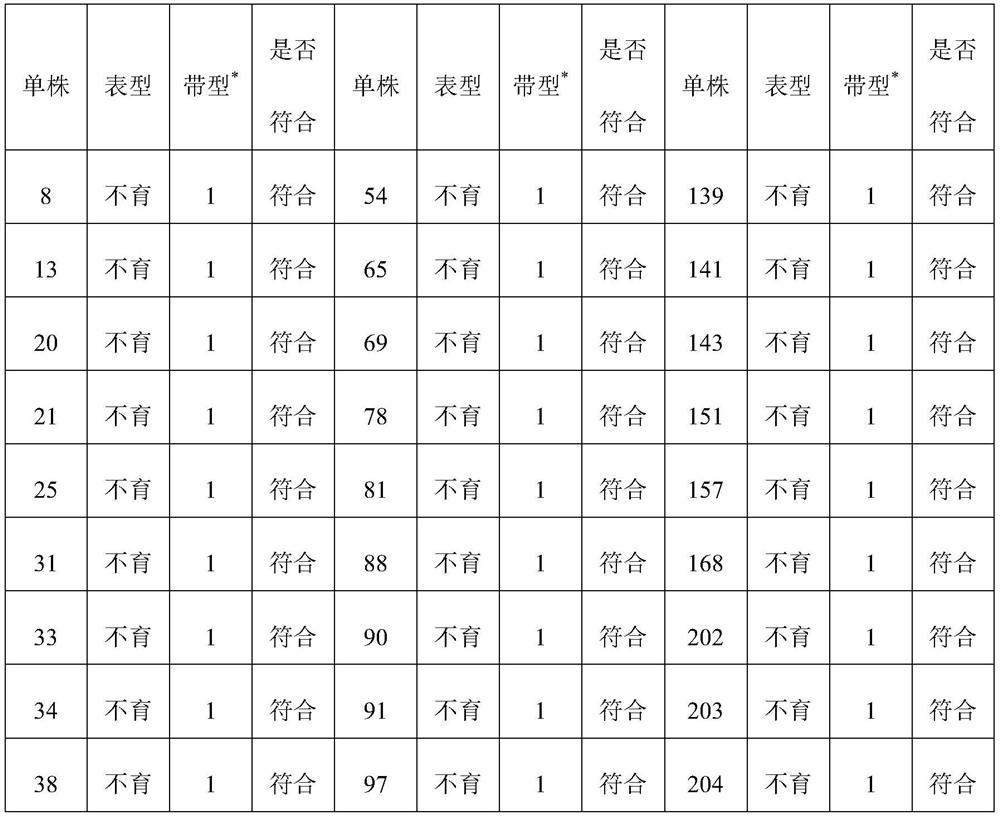 A molecular marker closely linked to the pepper cytoplasmic male sterility restorer gene and its obtaining method and application