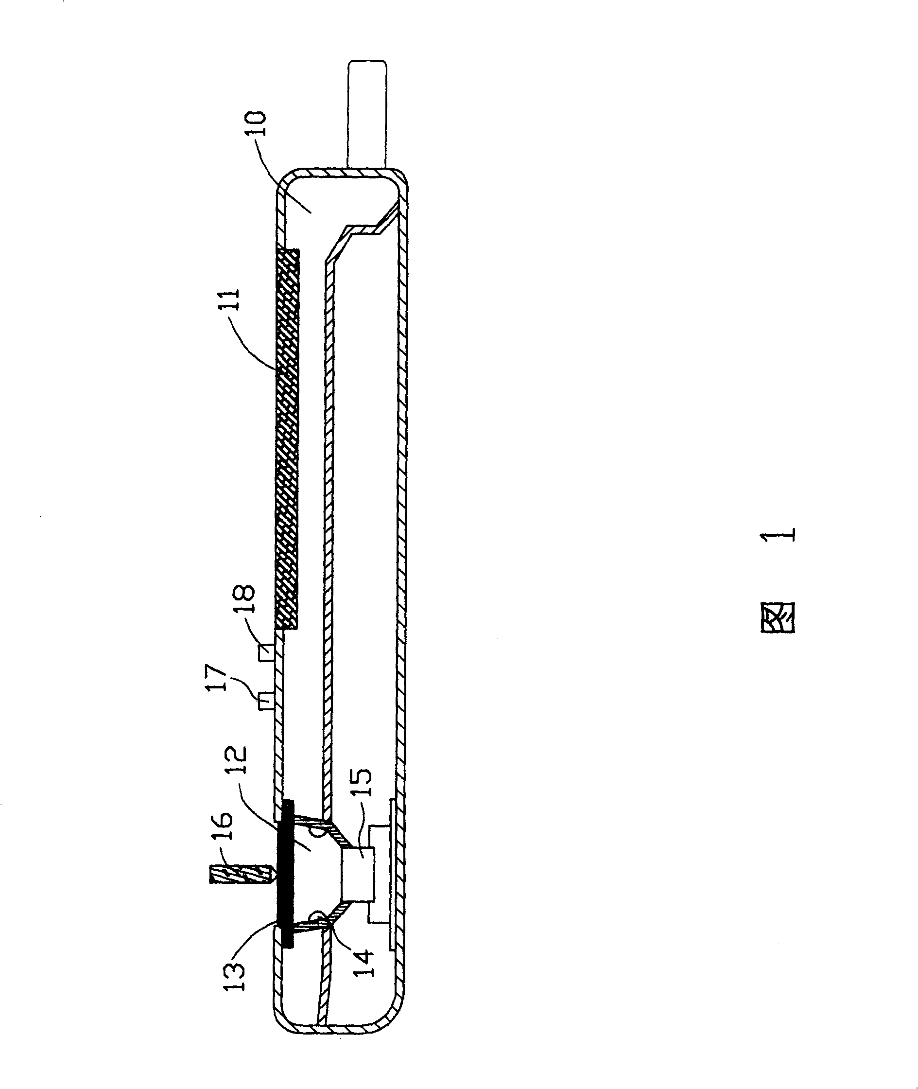 Portable electronic apparatus with handwrite input moudle group