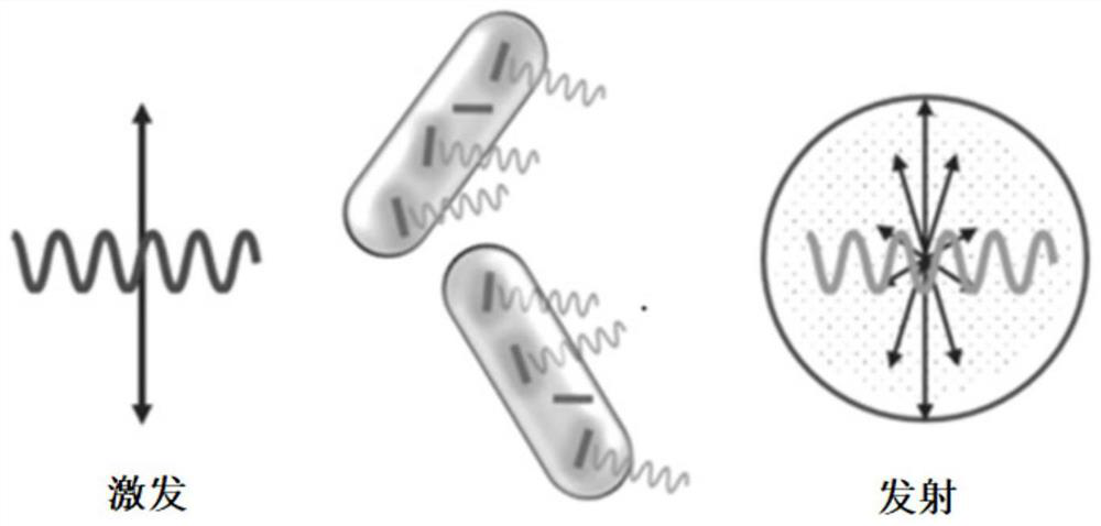 Preparation method and application of optical rotation material