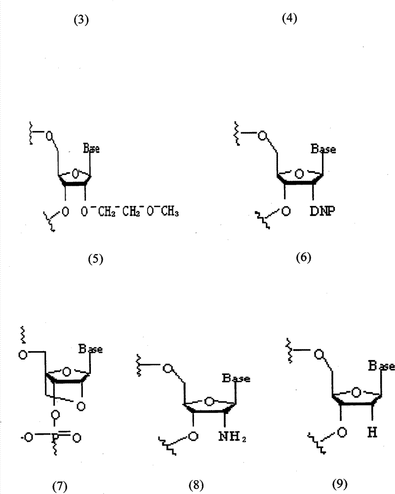 Small interference RNAs for human GSK-3beta gene and application thereof