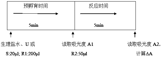 A stable serum iron detection kit