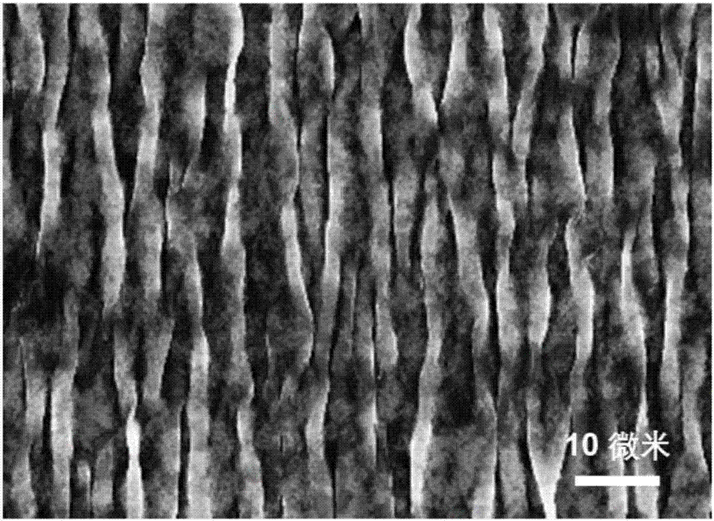 Flexible electrode, preparation method thereof, friction nano generator and preparation method thereof