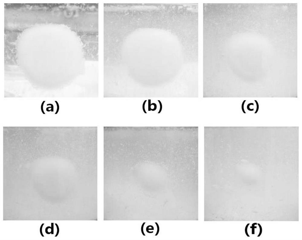 Persistent adhesion type periodontal plug treatment agent and preparation method thereof