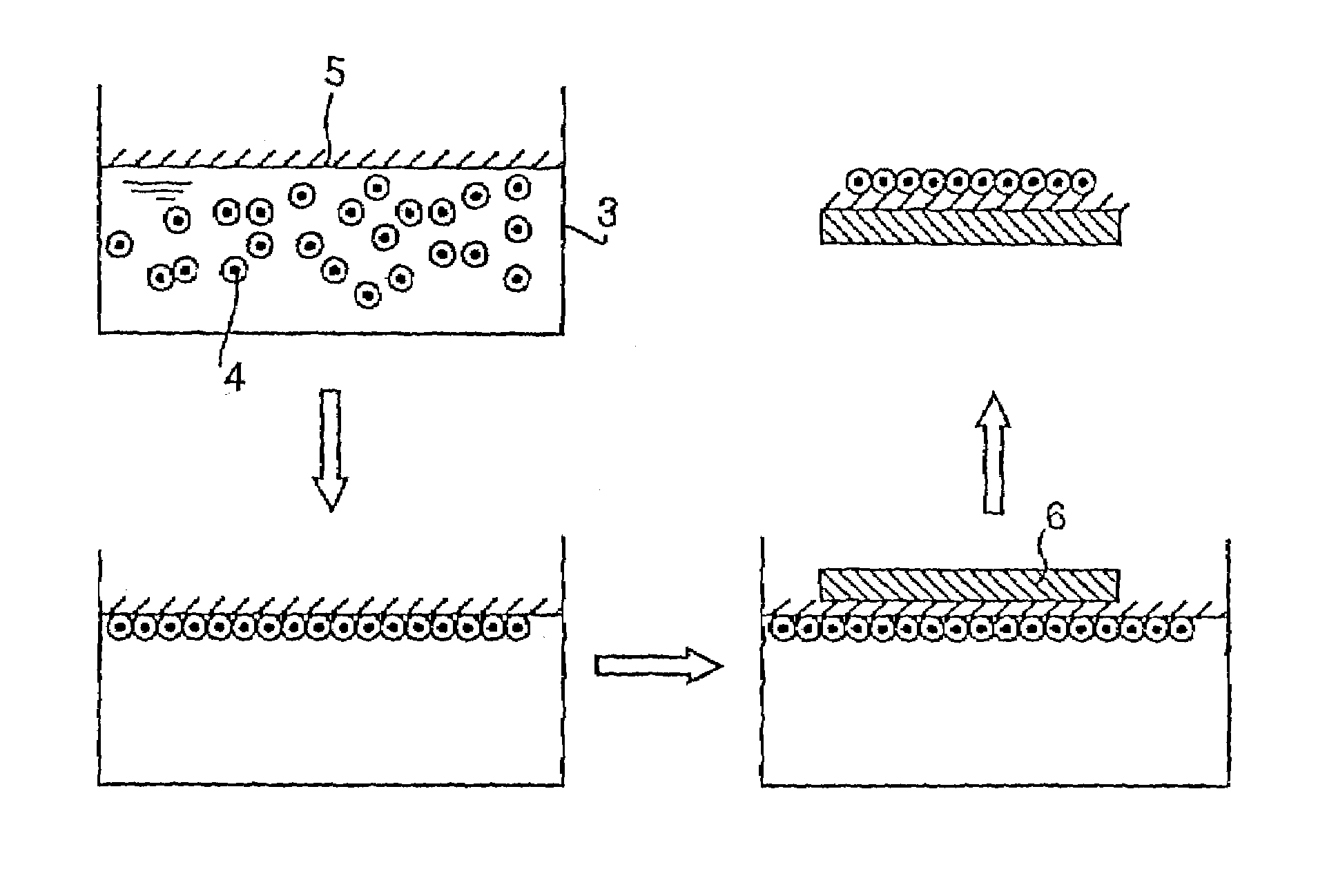 Two-dimensionally arrayed quantum device