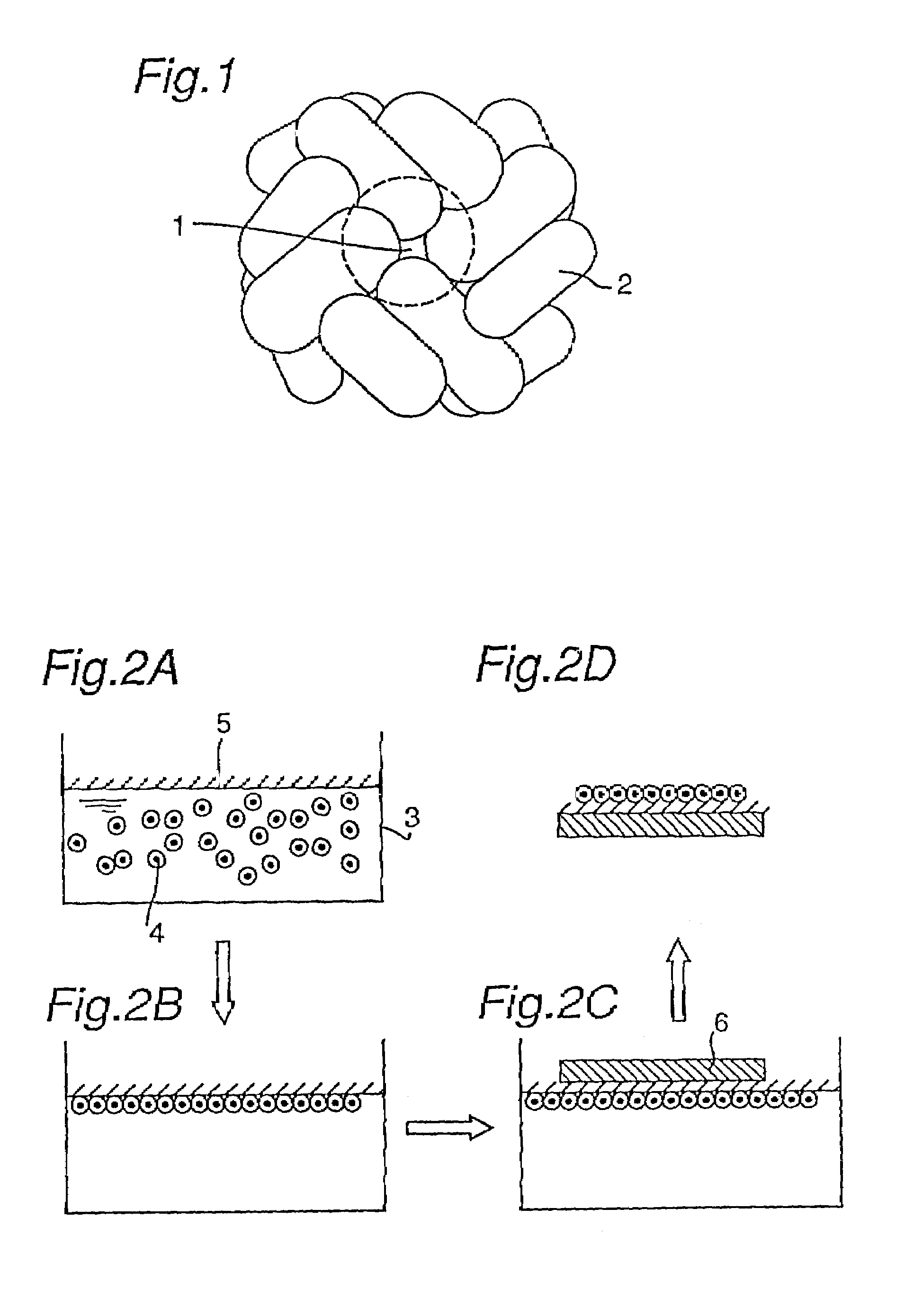 Two-dimensionally arrayed quantum device