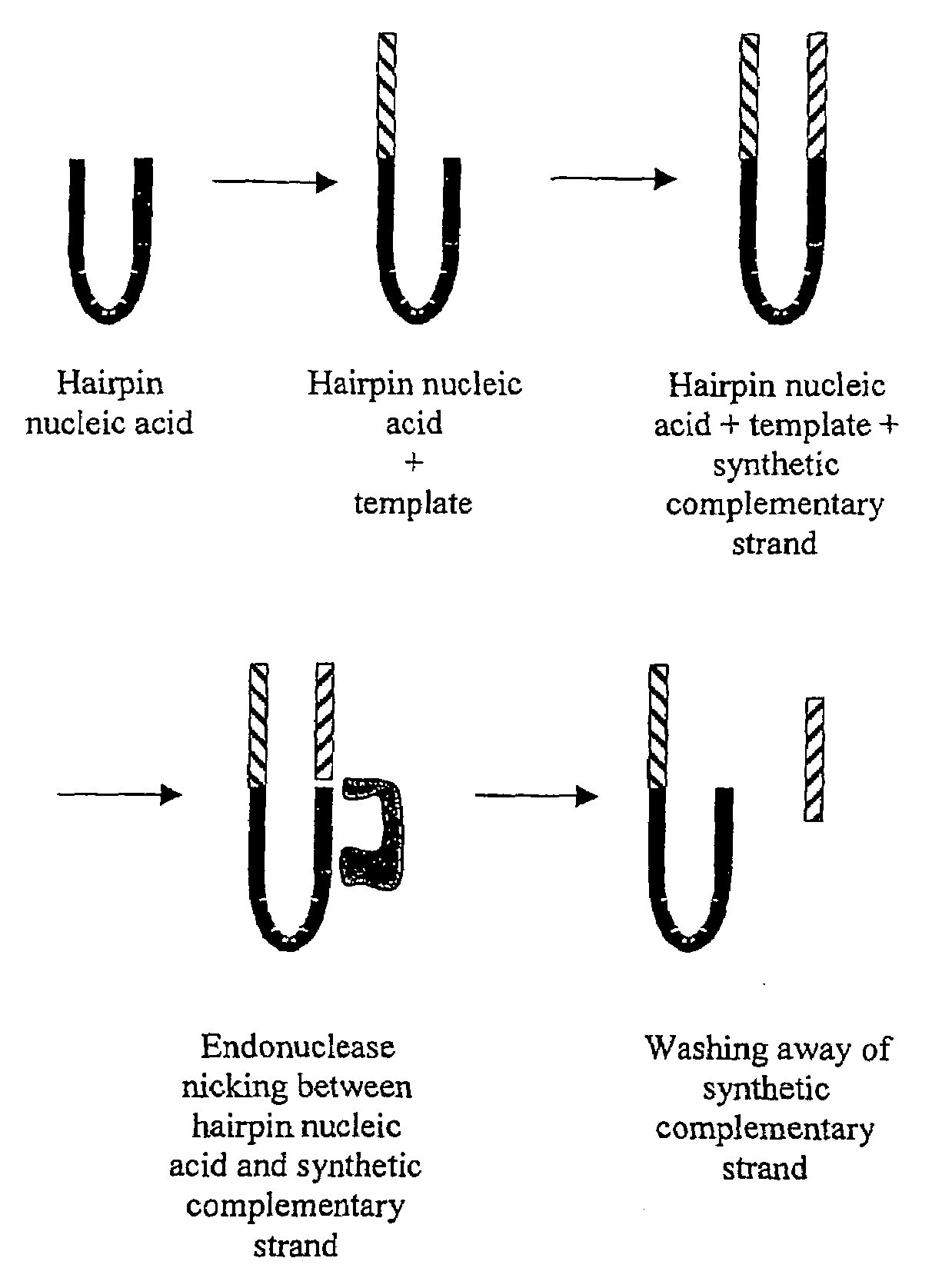 Determination of methylation of nucleic acid sequences