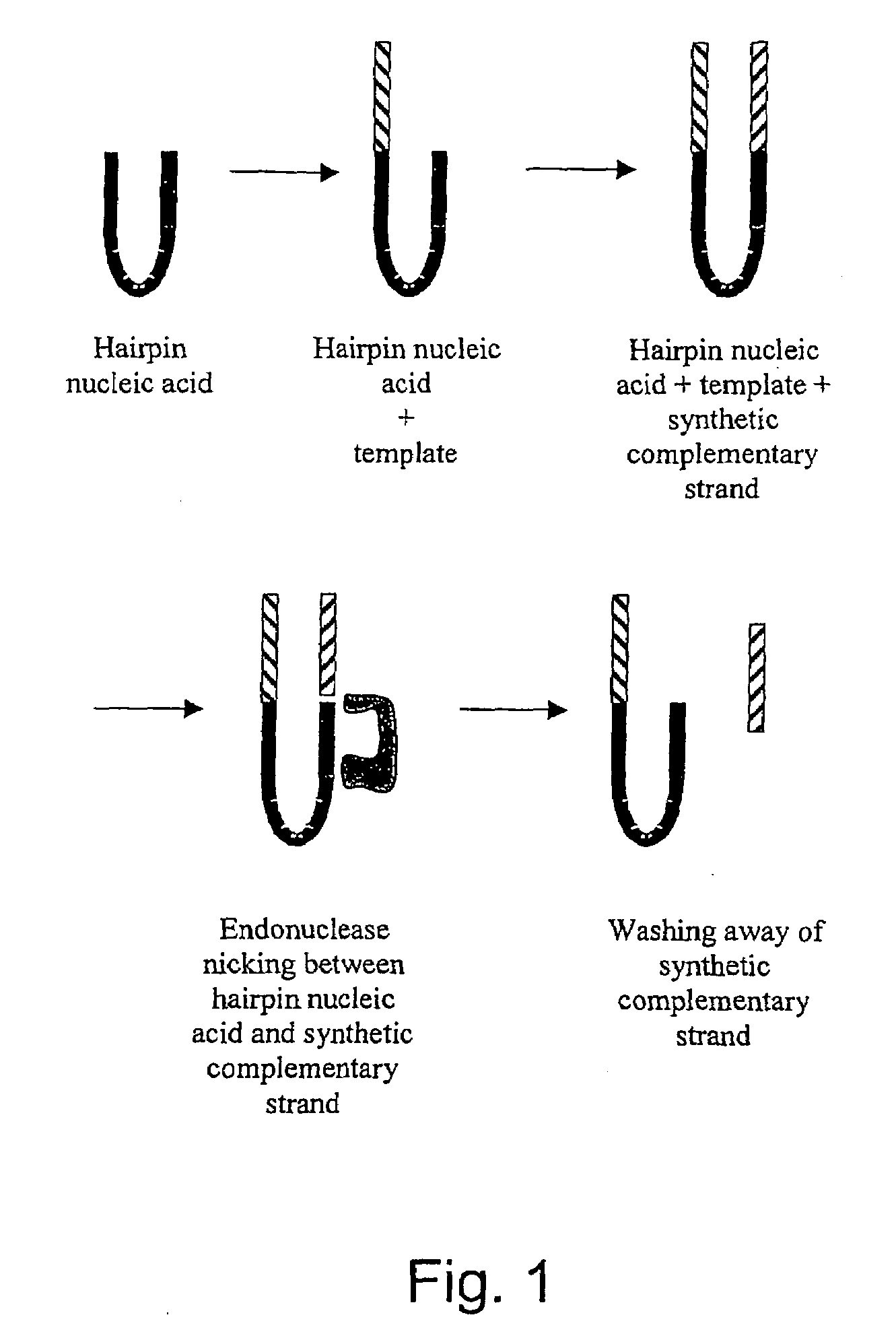 Determination of methylation of nucleic acid sequences