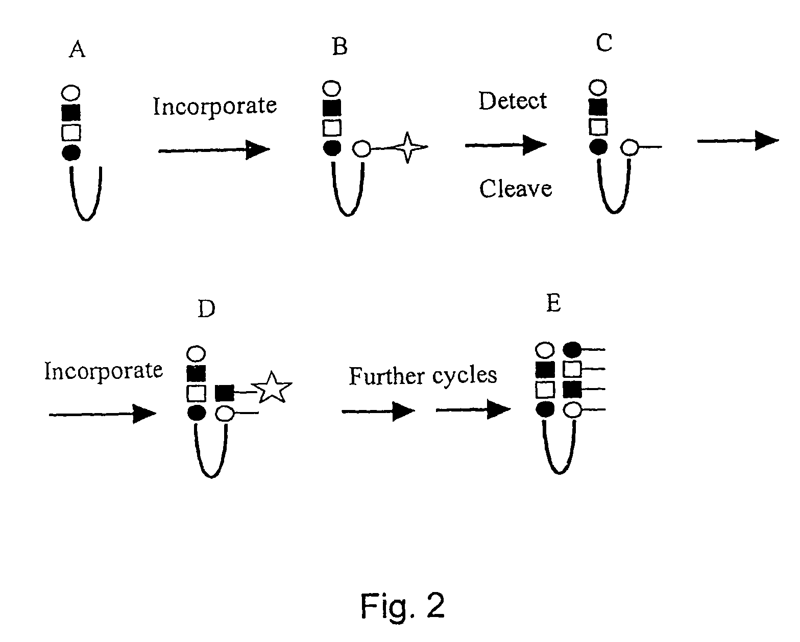 Determination of methylation of nucleic acid sequences