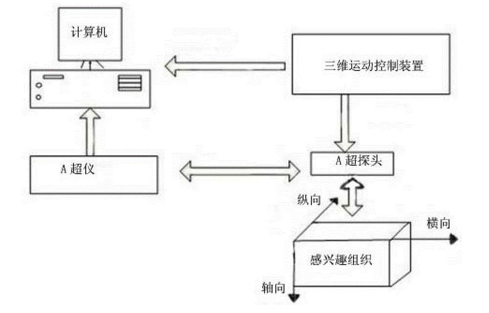 A-mode ultrasonic elastic imaging system based on mechanical scanning and method thereof