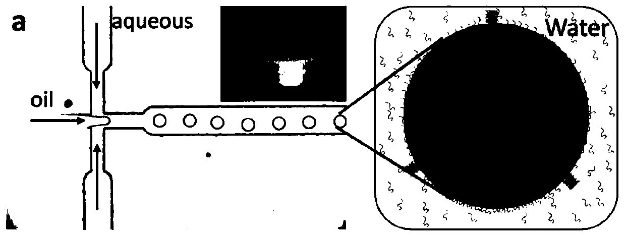 Method for preparing photonic crystal material through ordered self-assembly of emulsion