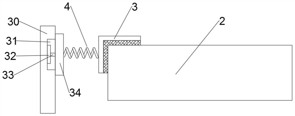 Software information security monitoring device