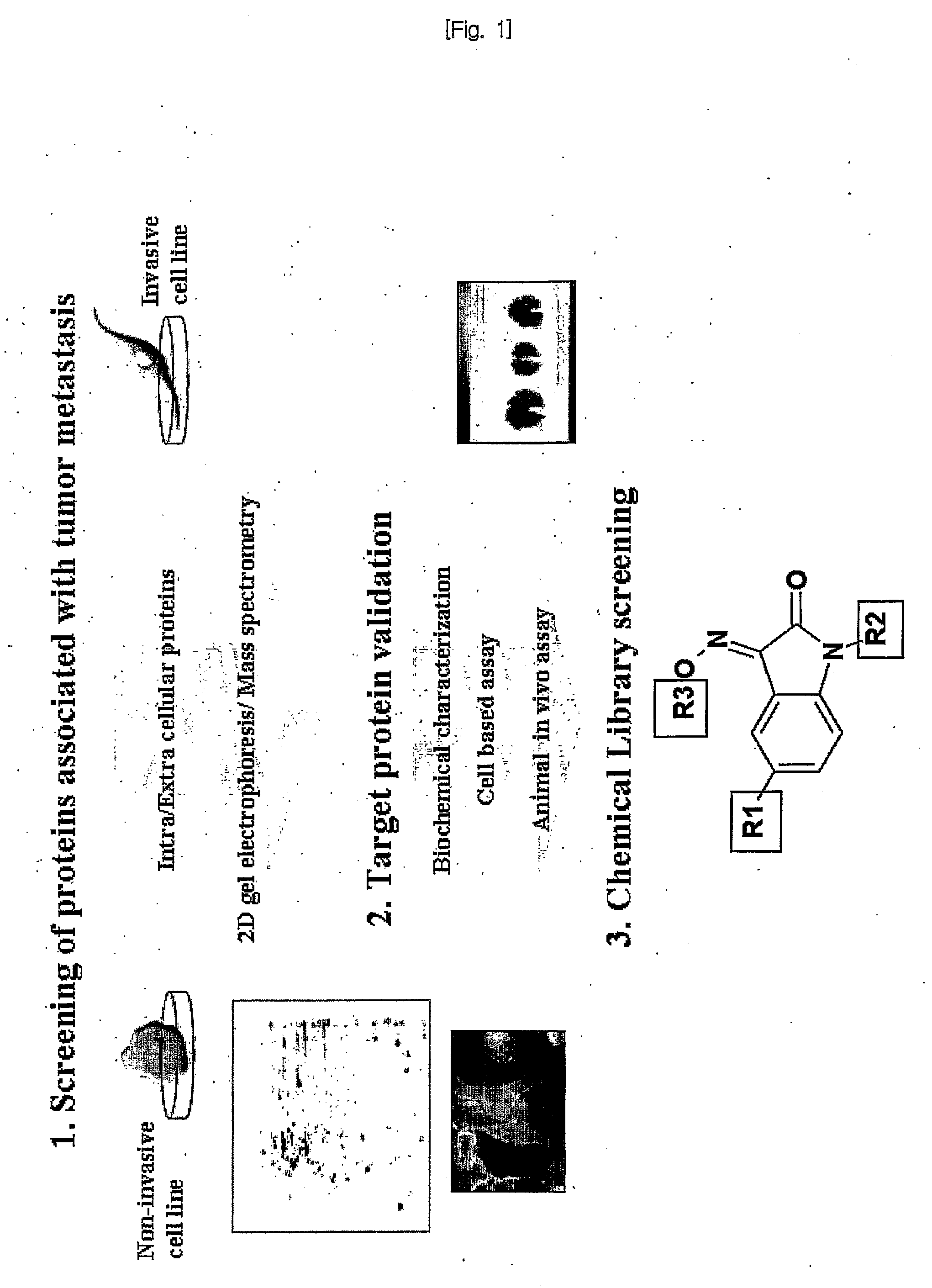 Novel use of ubiquitin c-terminal hydrolase-l1