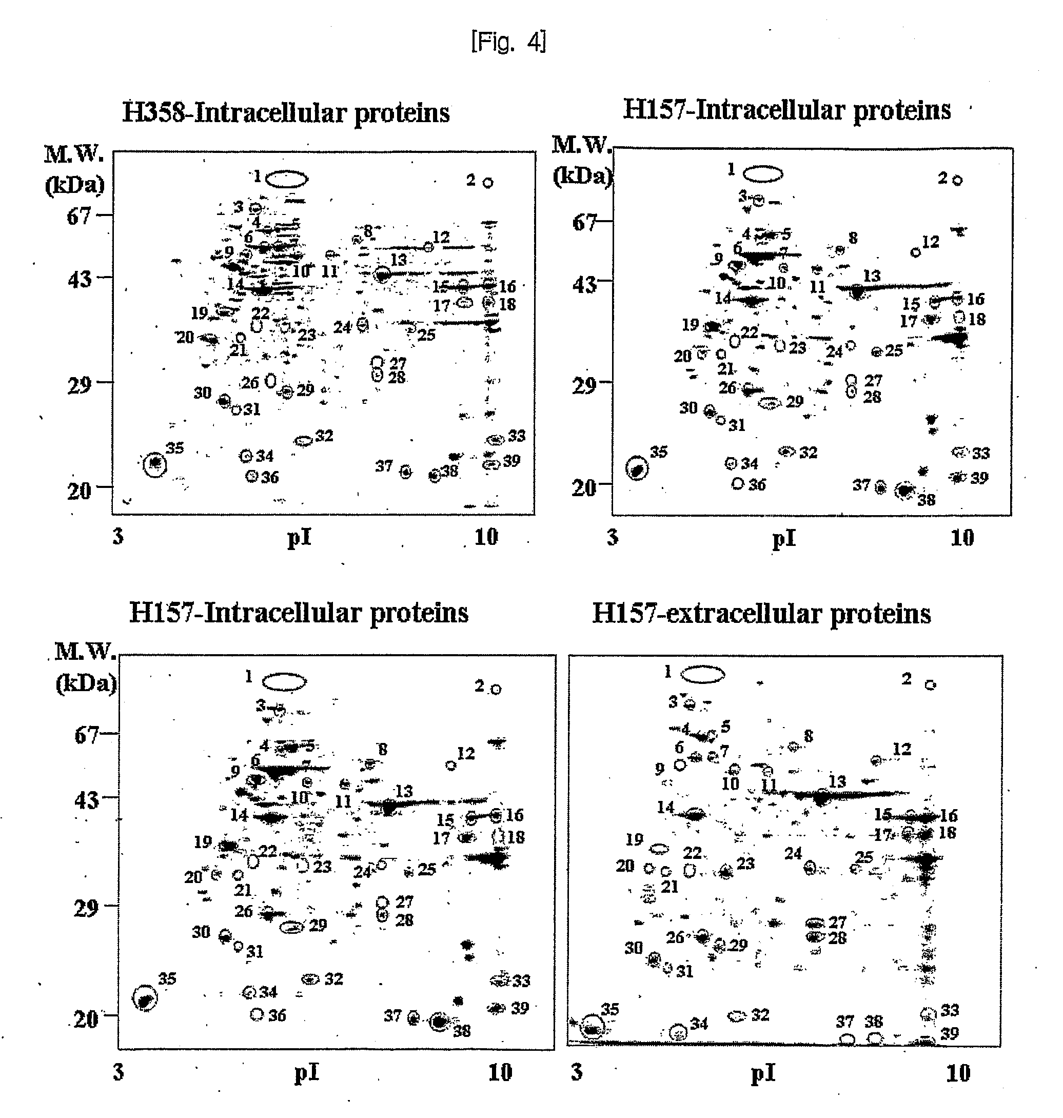 Novel use of ubiquitin c-terminal hydrolase-l1