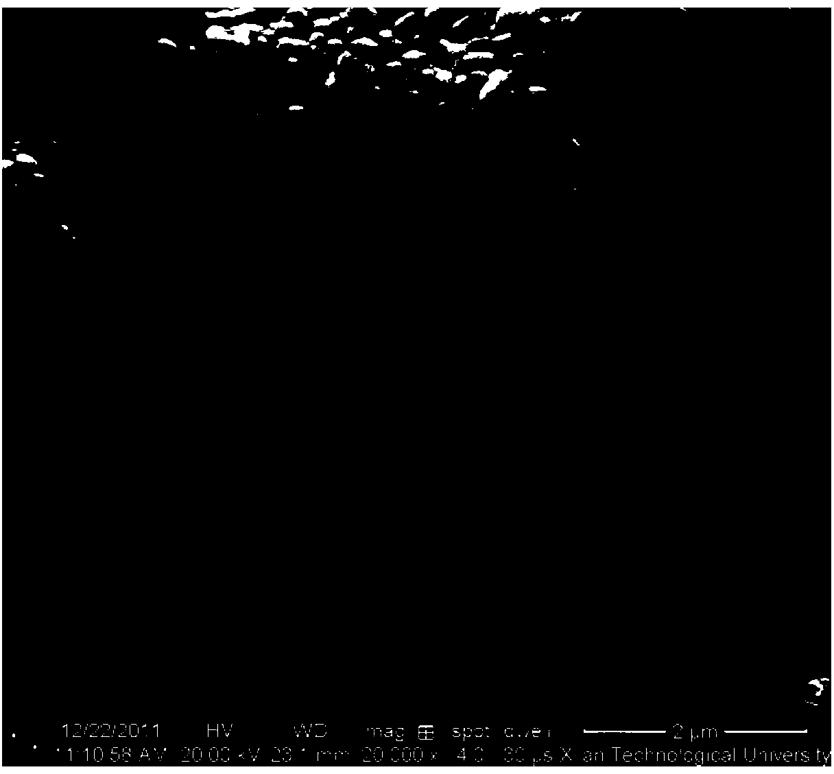 Method for preparing strontium sodium bismuth titanate piezoelectric ceramic by sol-gel auto-igniting process