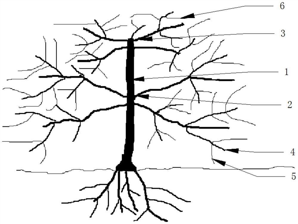 Chinese wolfberry tree pruning method